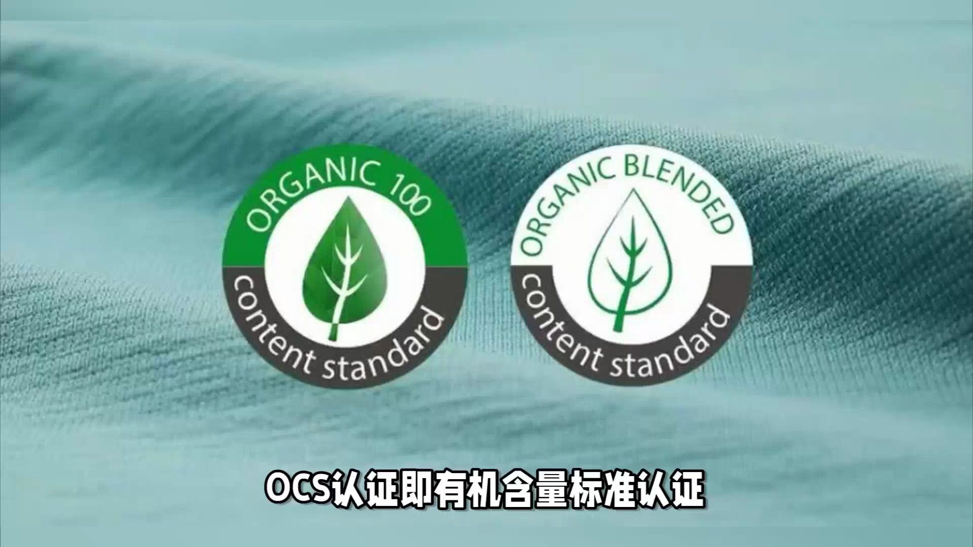 edf593c6a71c9cb7251685c5e63ce506.jpg