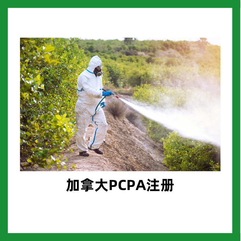 产品名称