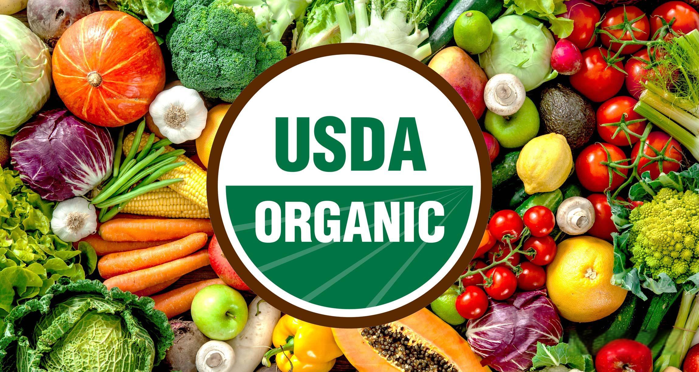 【亚马逊绿标】美国 USDA 认证全解析：企业布局全球市场的核心竞争力构建