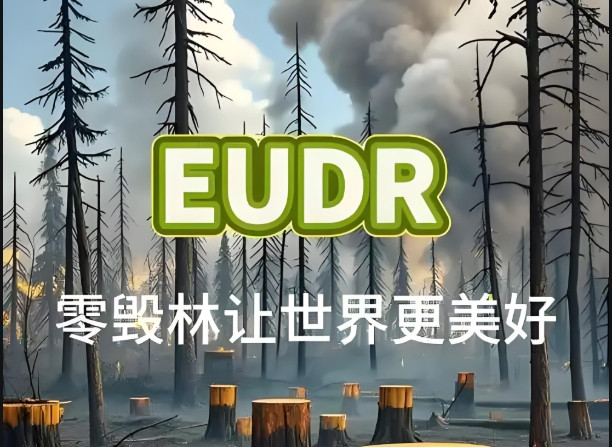 亚马逊卖家必看！EUDR 合规进入倒计时，这些关键信息你不能错过