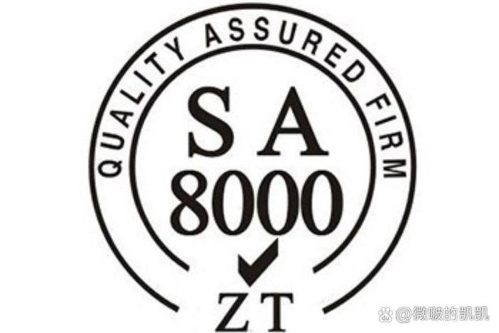 SA 8000 社会责任