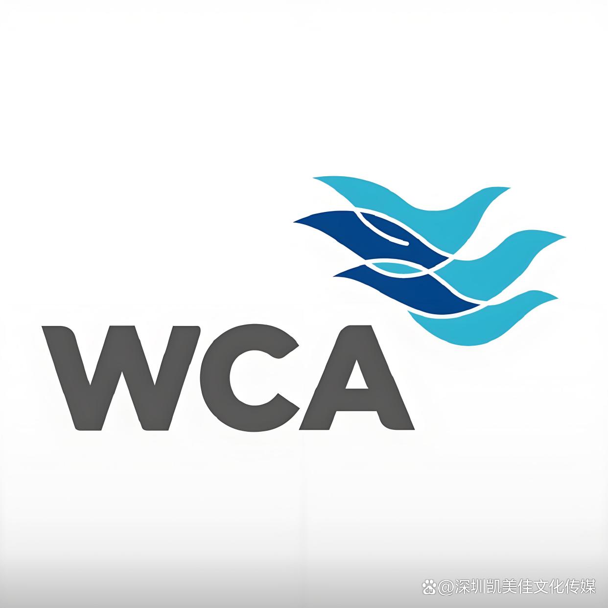 WCA 工作场所评估