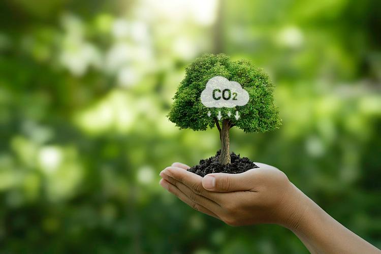 产品名称