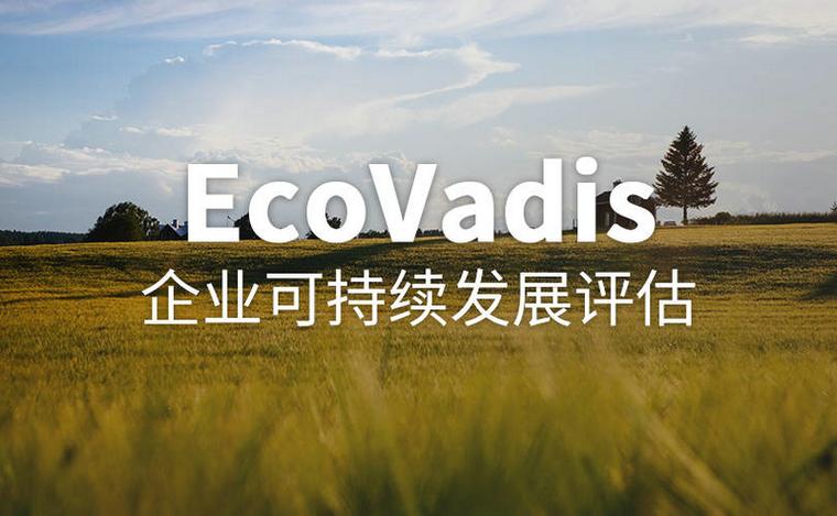 Ecovadis评级，有助于提升您的销售额
